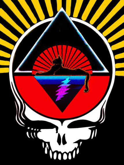 Grateful Dead Steal Your Face logo.