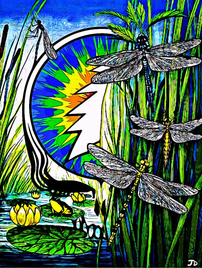 Grateful Dead logo with dragonflies and lilies.